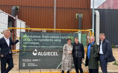 Tove Feld Appointed Chair of the Board of Directors at ALGIECEL